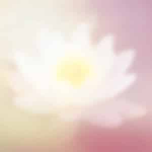 Lotusblüte Meditation