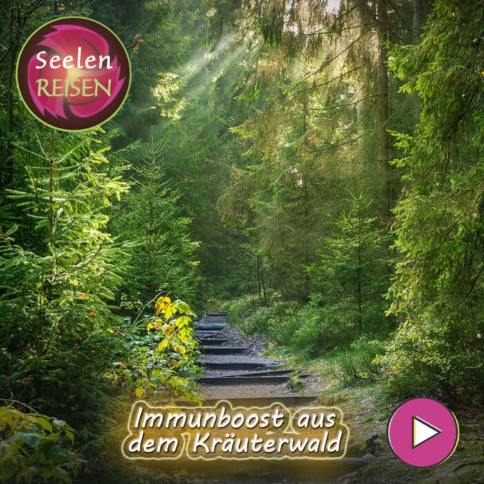 Seelenreise als Audio-Download