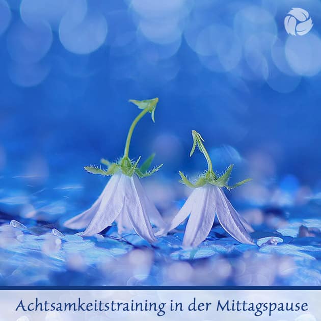 Einzelkarte Achtsamkeitstraining in der Mittagspause